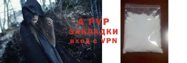 стаф Абинск