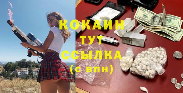 стаф Абинск