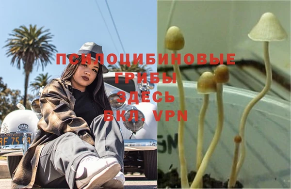 mix Алексеевка
