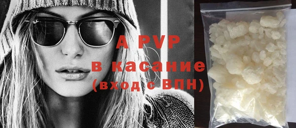 стаф Абинск